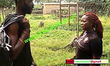 Steamy rendezvous in the country's zoo - Mboa xvideos' unique offering