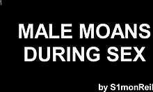 Samling af mandlige støn: En samling af homoseksuelle lydeffekter